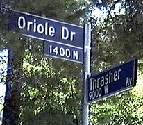 Thrasher (sign)