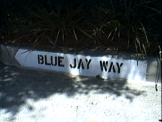 Curb