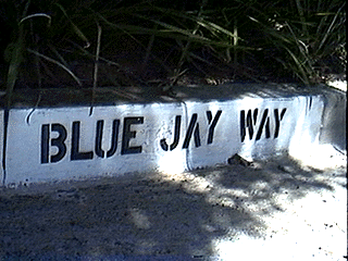 Curb