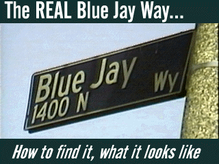 The REAL Blue Jay Way... How to find it, what it looks like