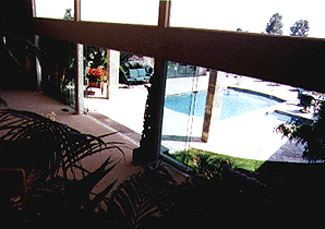 new pool #4