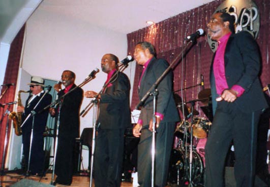 The Calvanes