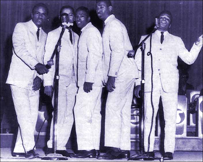 The Elgins