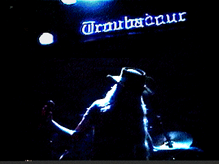 black & blue silhouette
