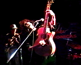 Palomino 12-19-93